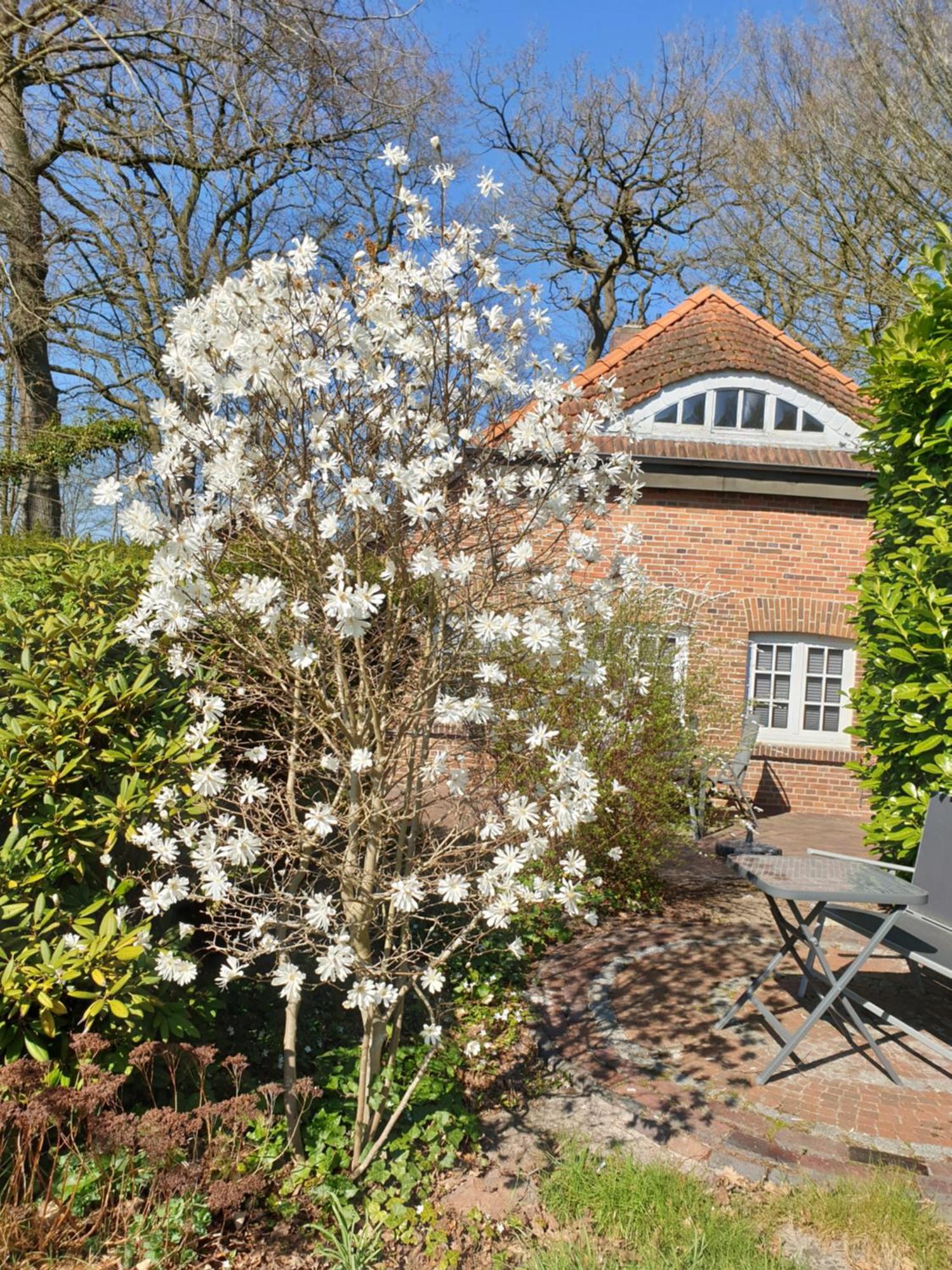 Ferienwohnung Morgensonne Westerstede Luaran gambar